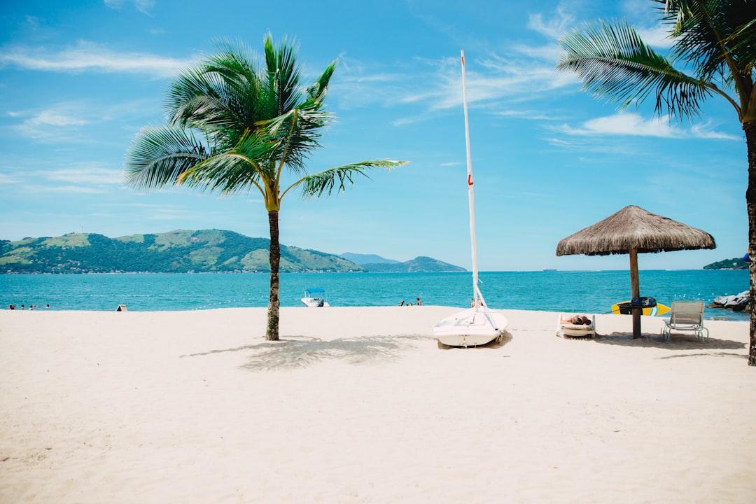 Exploring Unique Pet-Friendly Destinations