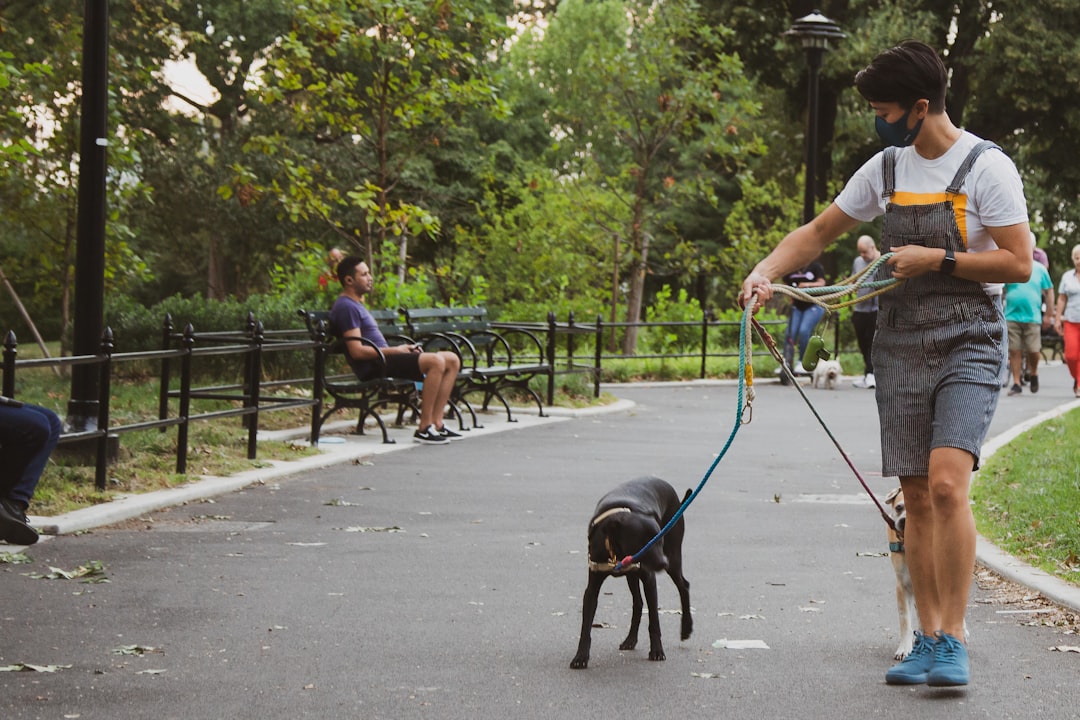 Keep Your Furry Friends Safe: Essential Tips for Holiday Pet Safety