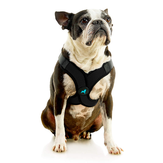 Comfort X Step In Lite Pet Harness