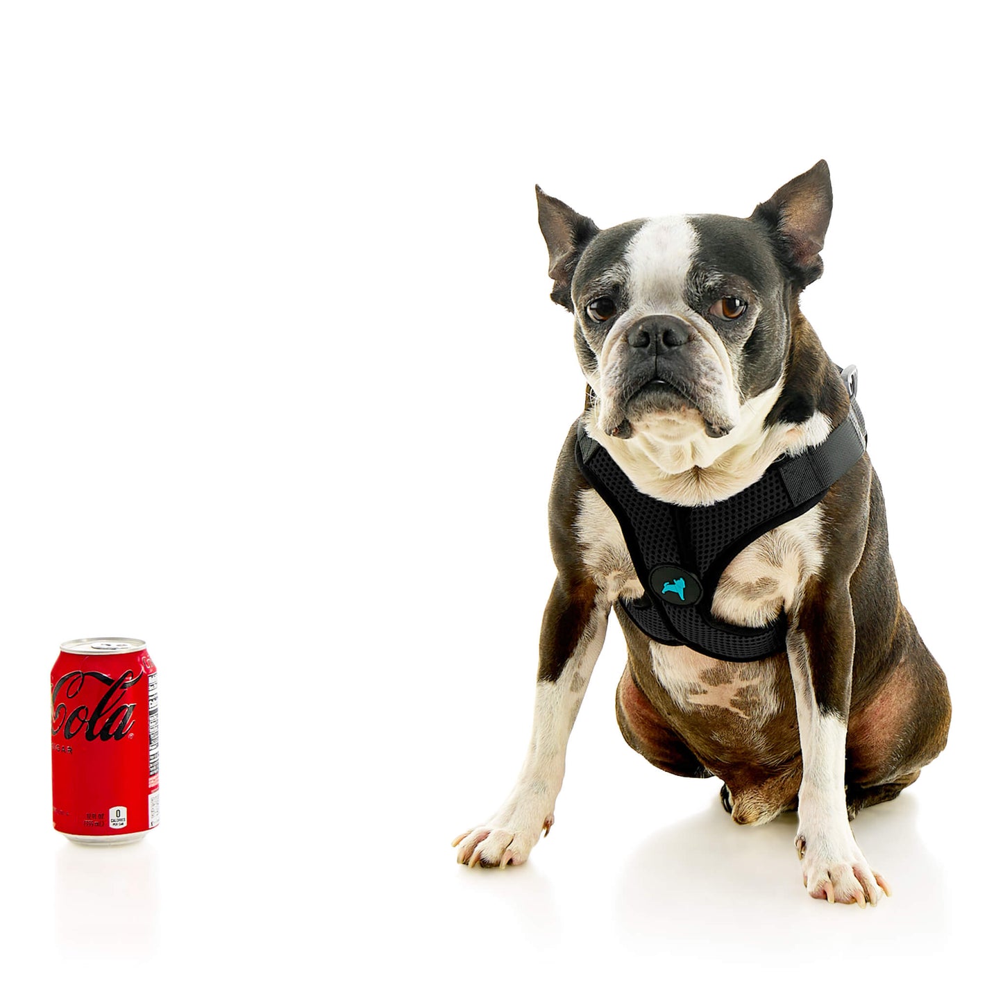 Comfort X Step In Lite Pet Harness