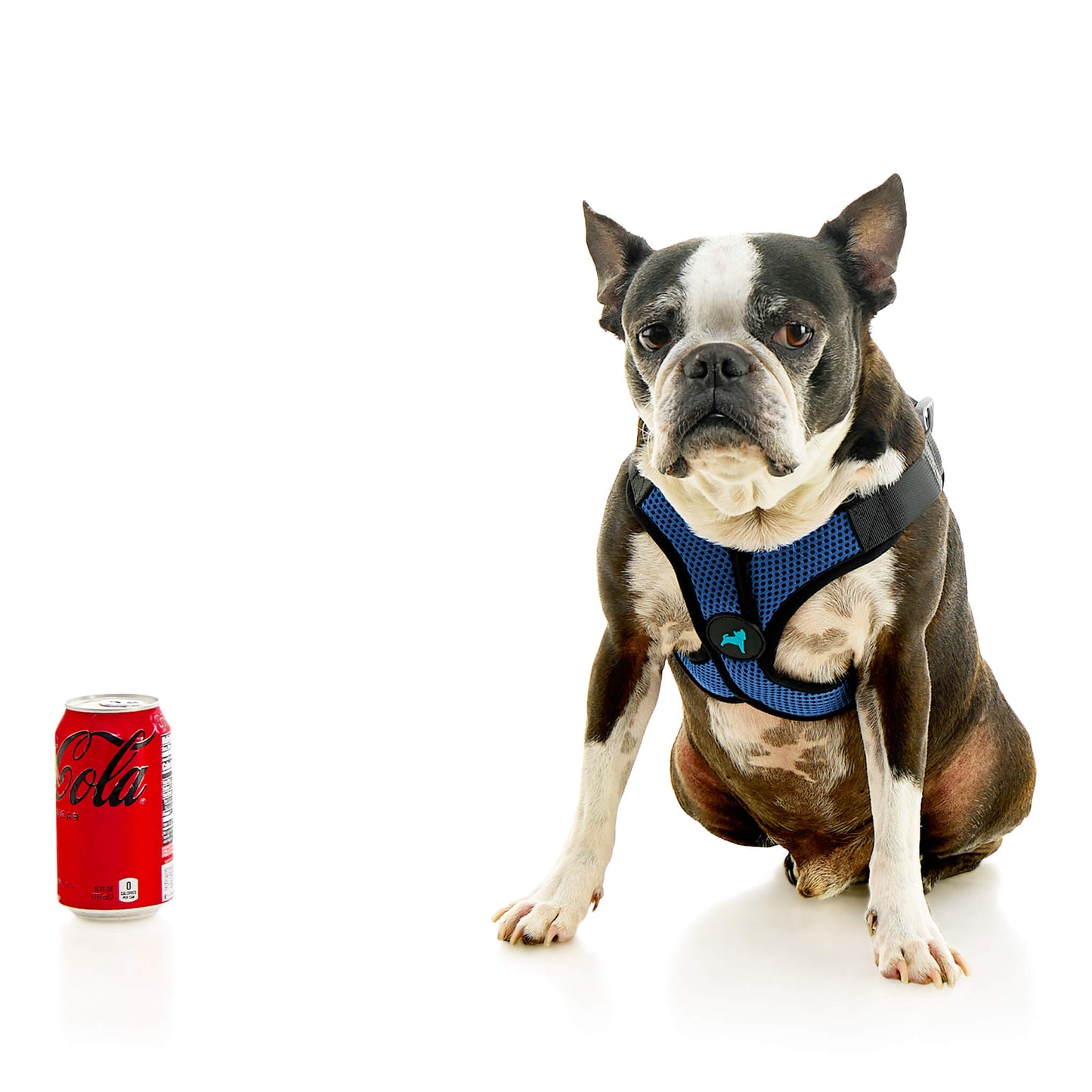Comfort X Step In Lite Pet Harness