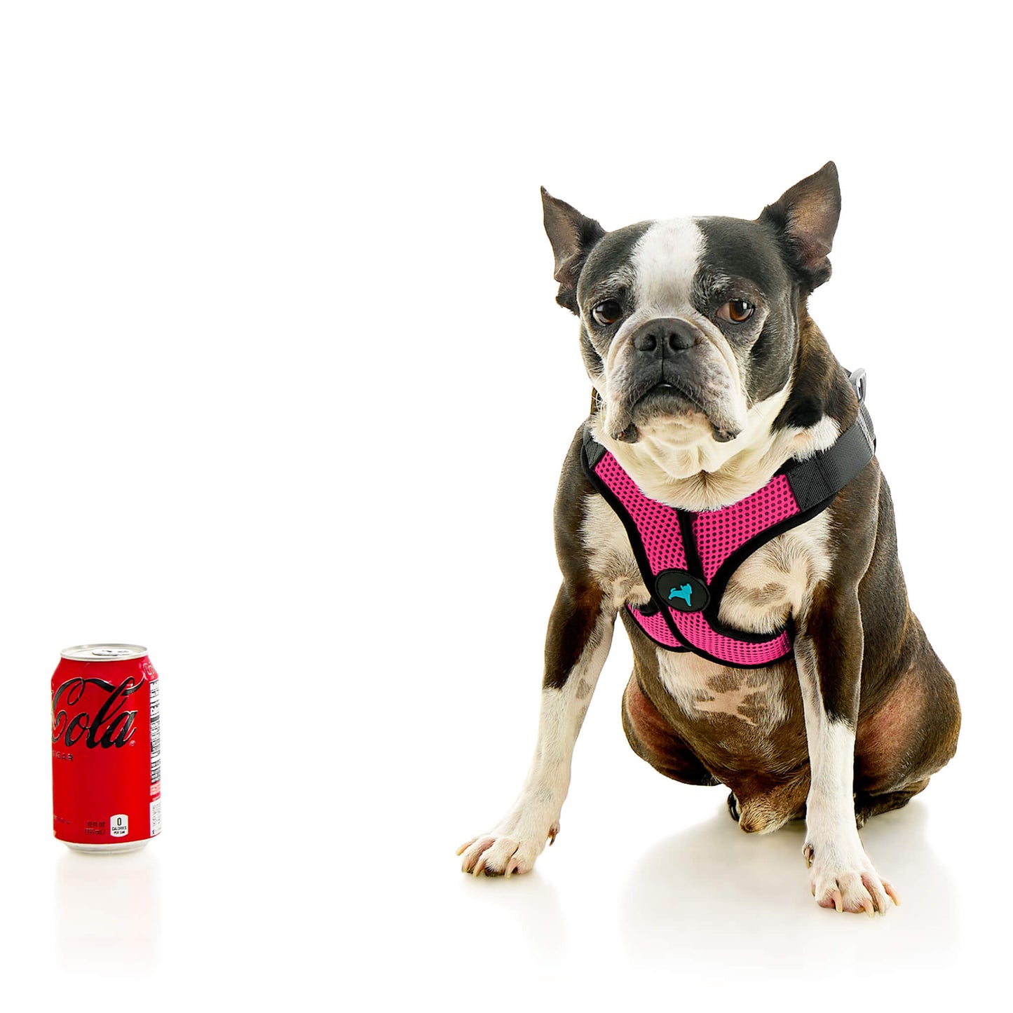 Comfort X Step In Lite Pet Harness