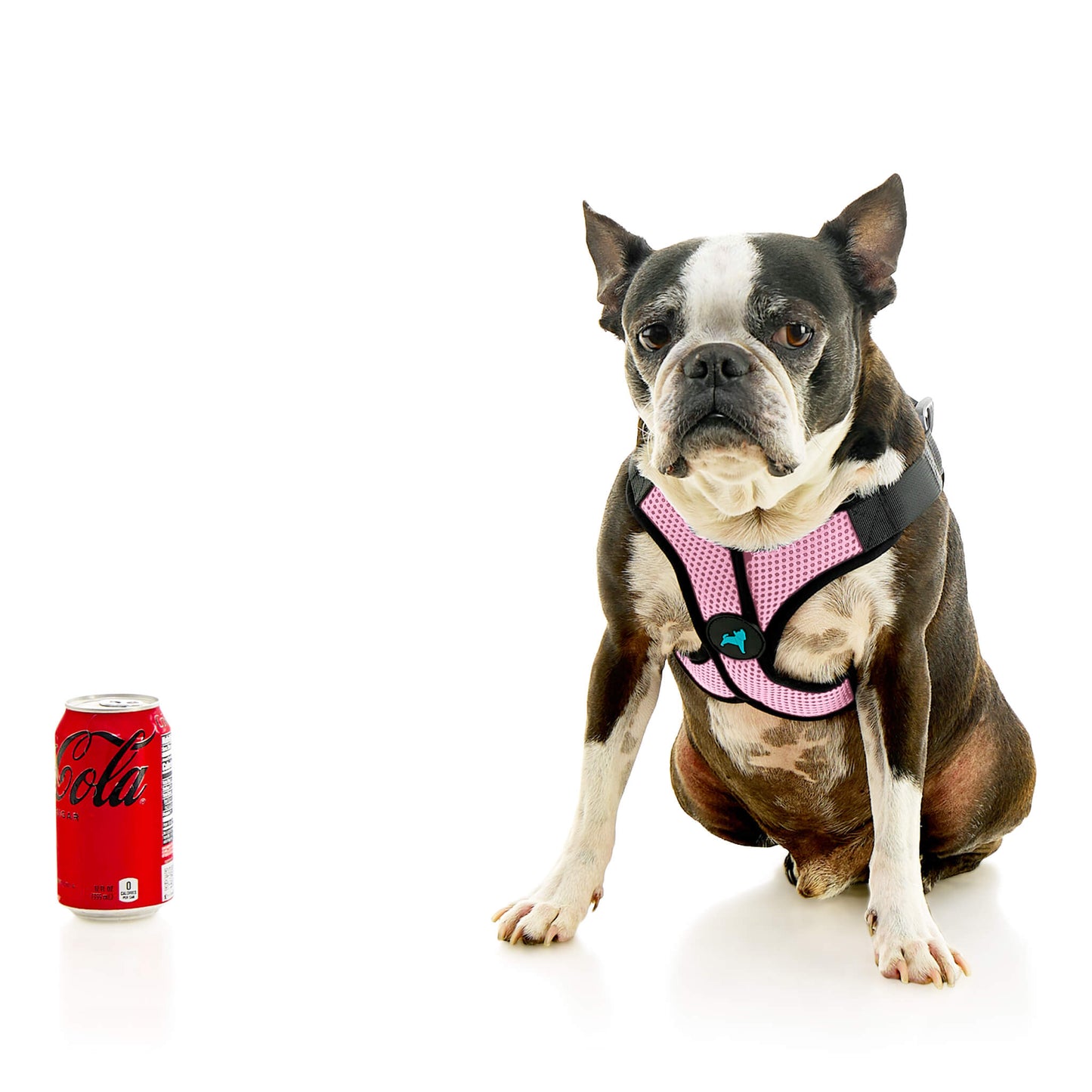 Comfort X Step In Lite Pet Harness