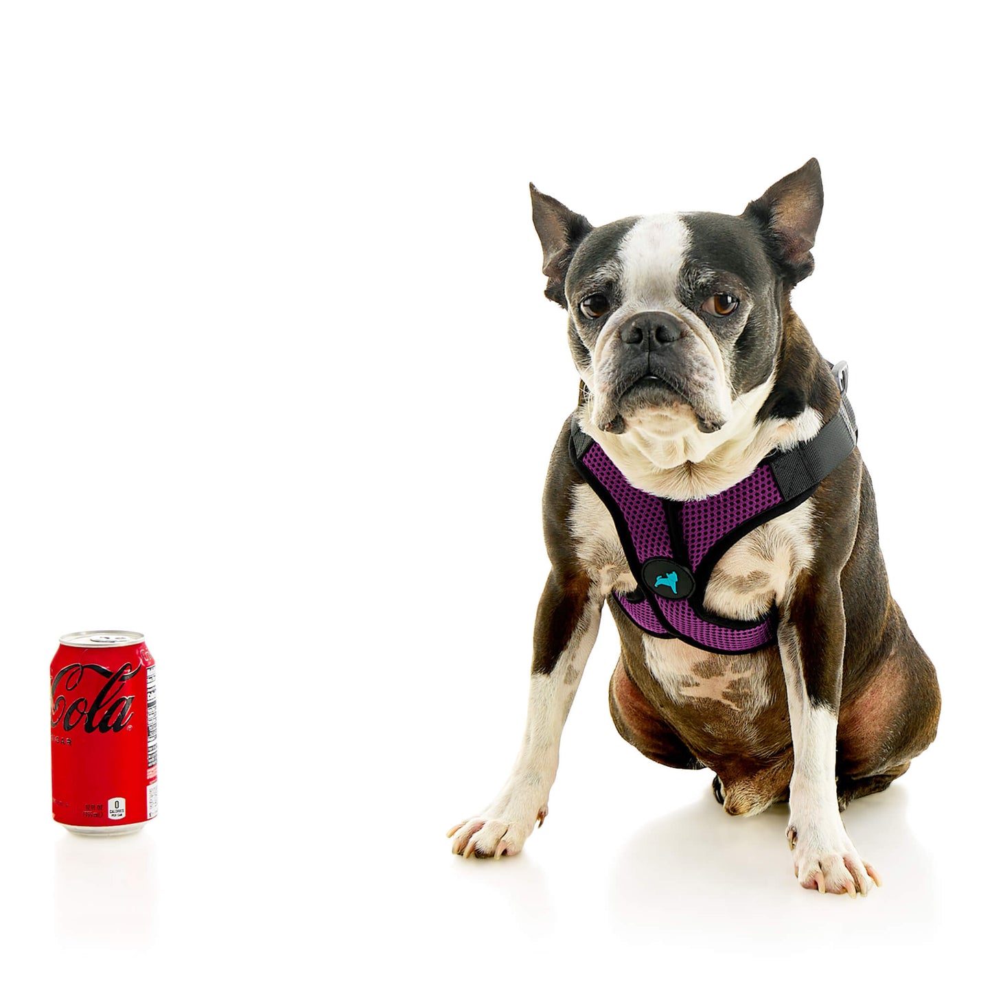 Comfort X Step In Lite Pet Harness