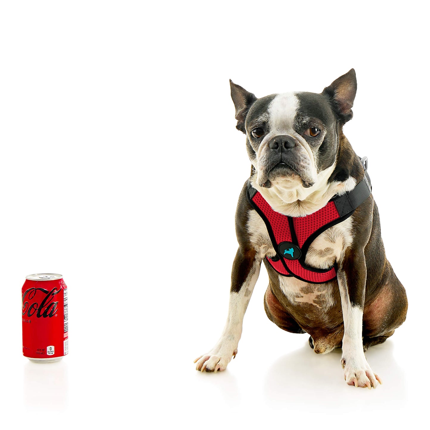 Comfort X Step In Lite Pet Harness