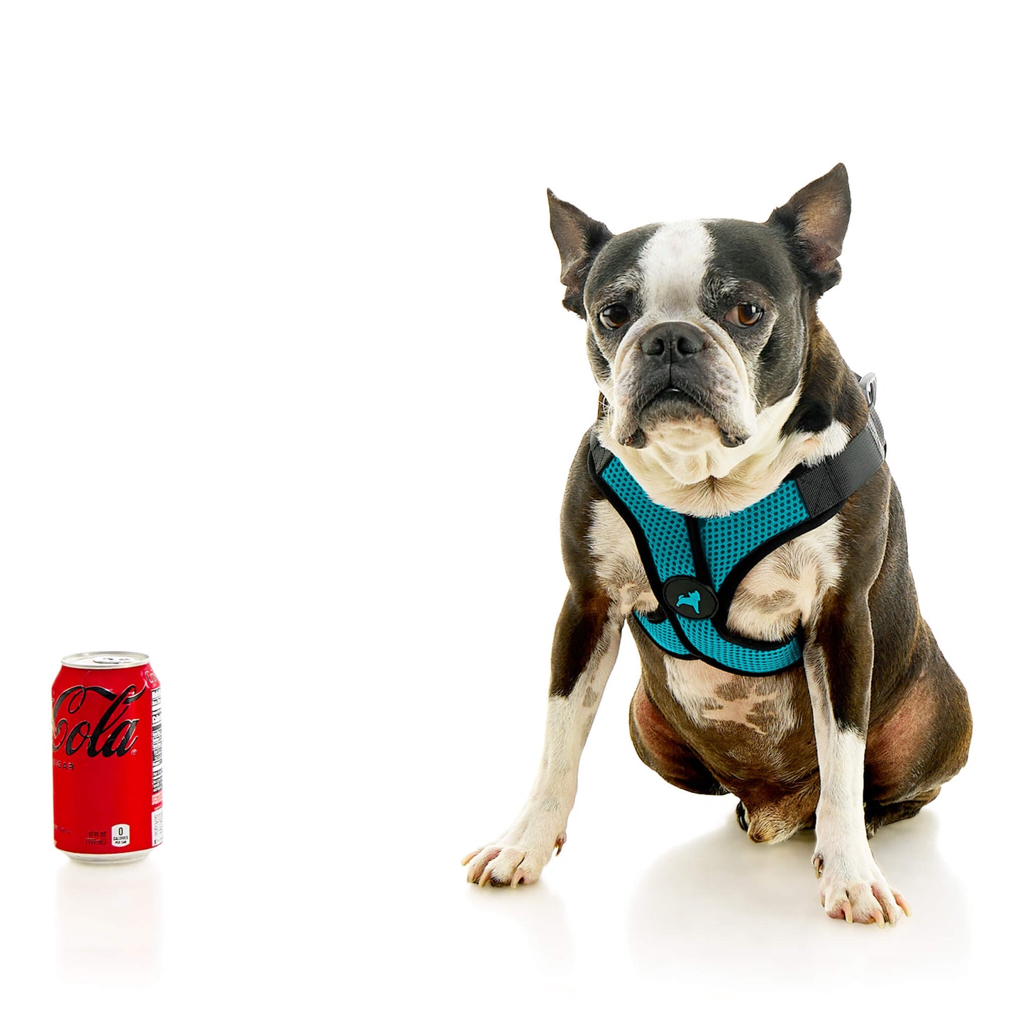 Comfort X Step In Lite Pet Harness