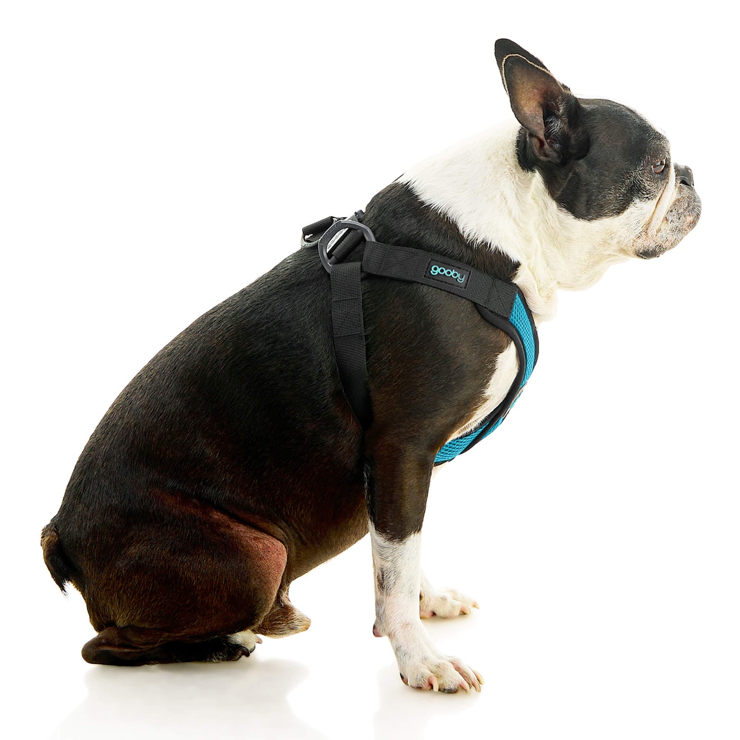 Comfort X Step In Lite Pet Harness