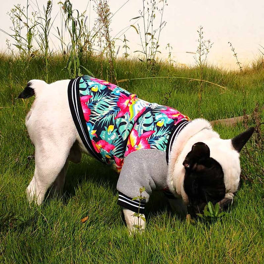 No One Care Hawaiian Print Pet Jacket