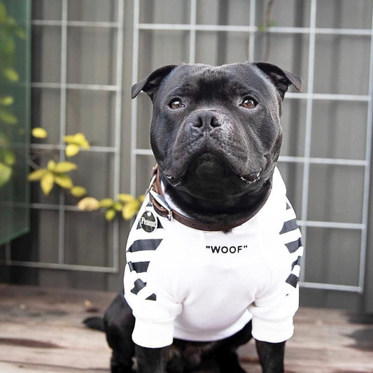 Woof Stylish Pet Hoodie
