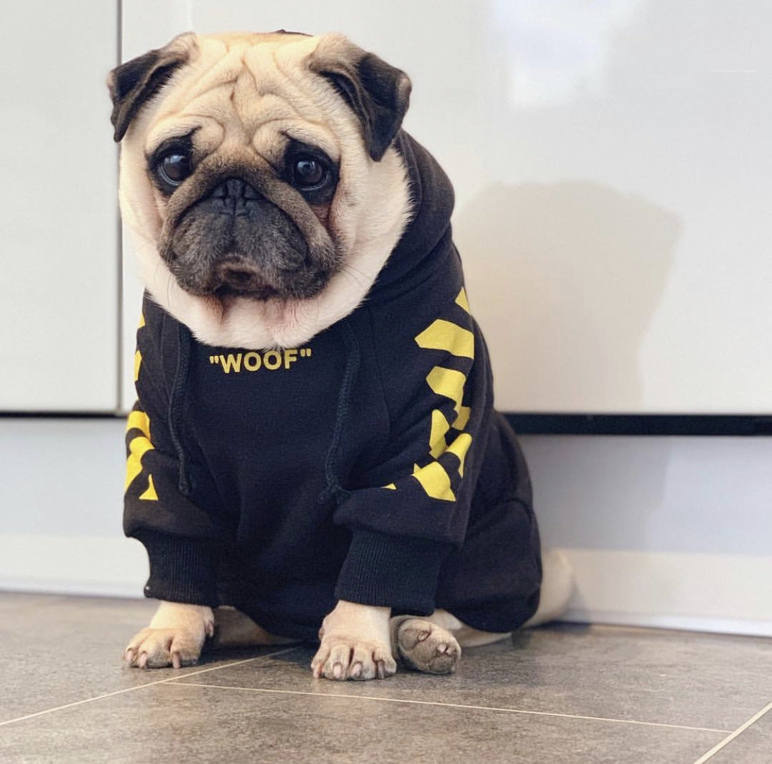 Woof Stylish Pet Hoodie
