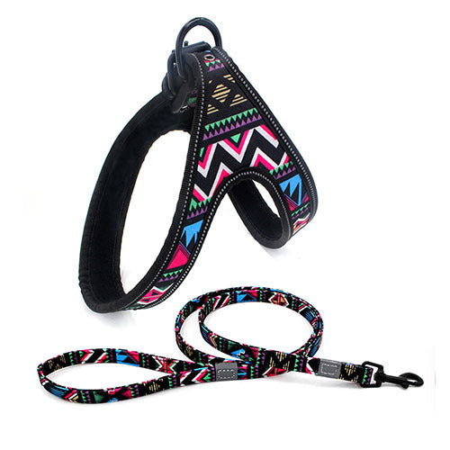 Step-in Pet Harness and Leash Set