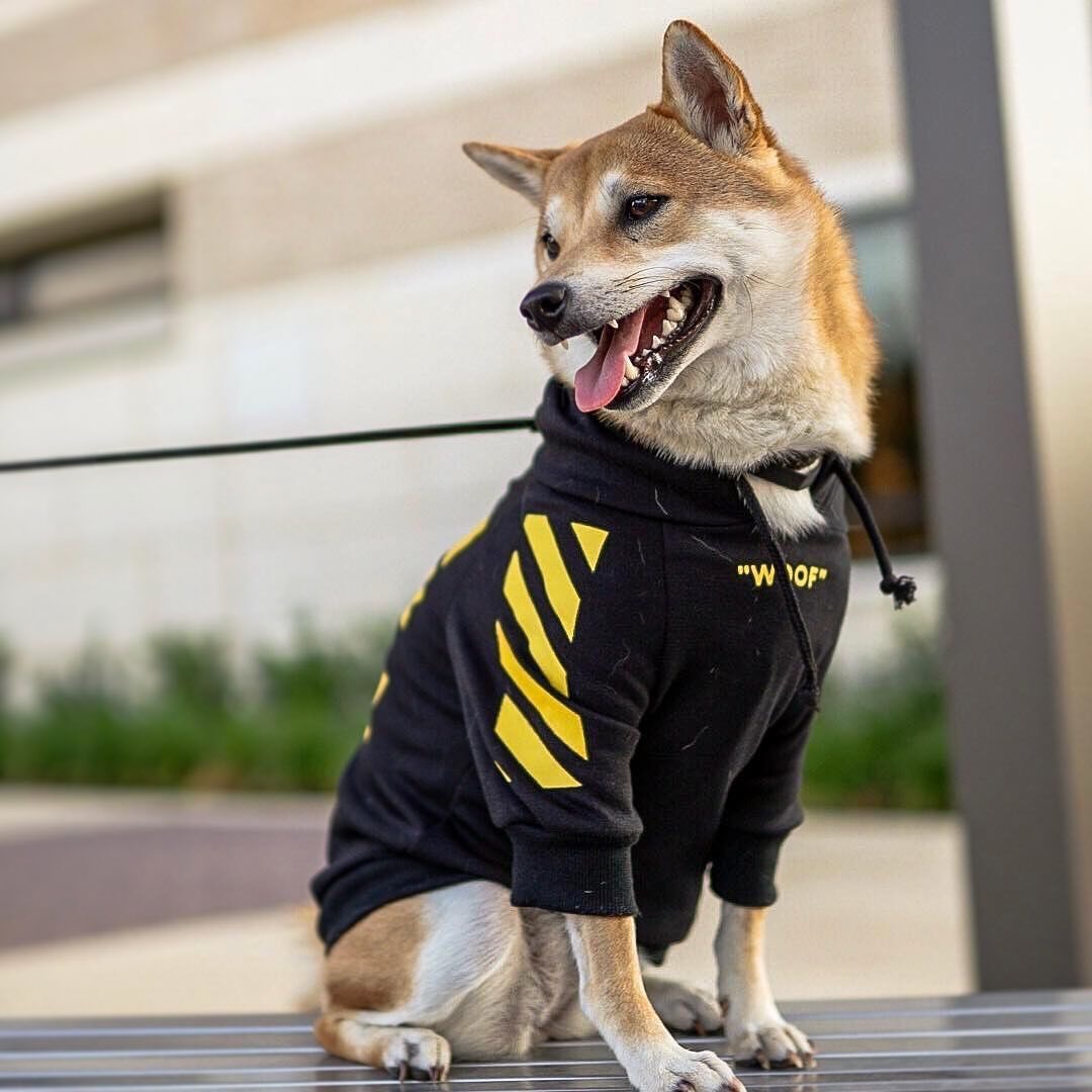 Woof Stylish Pet Hoodie