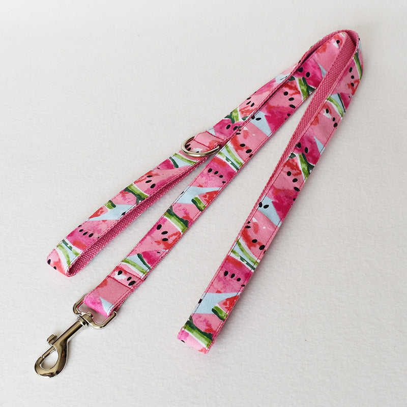 Watermelon Print Collar & Leash Set