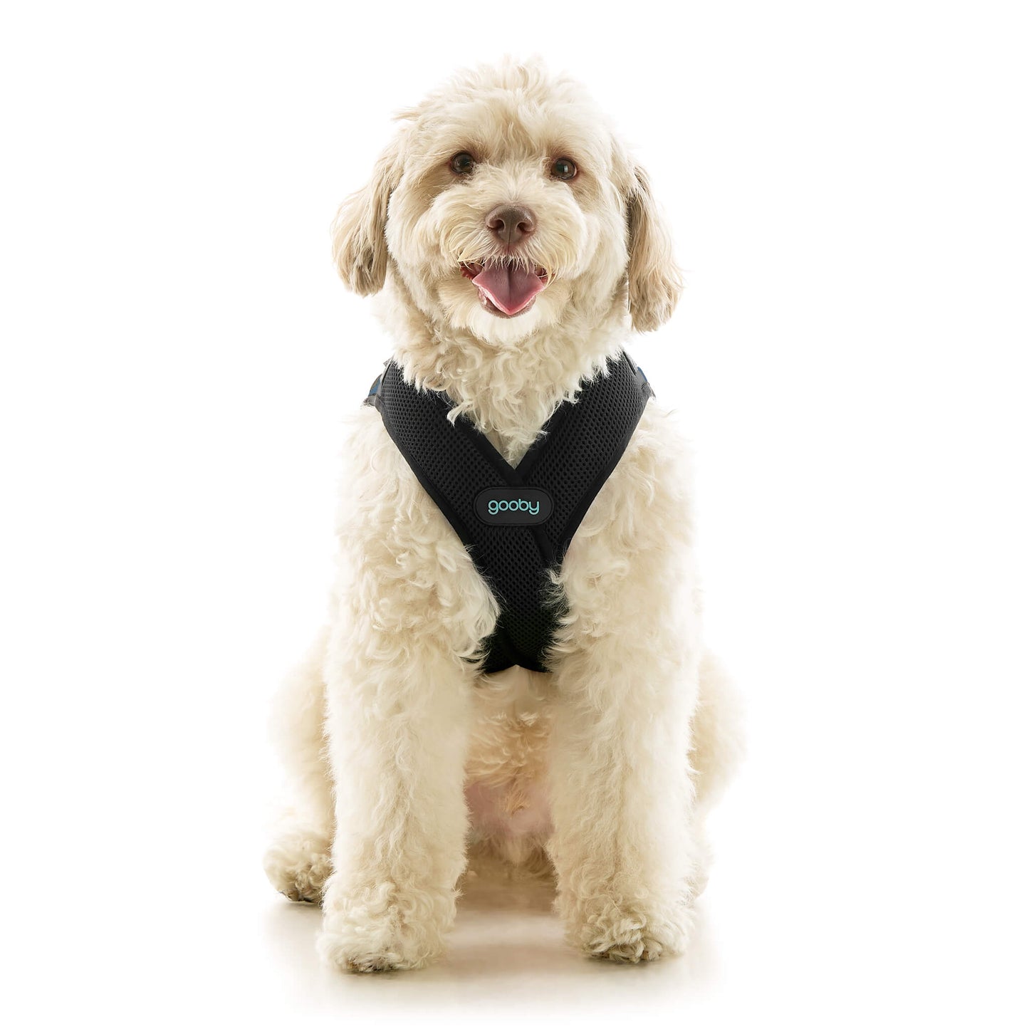 Soft Mesh X Step In Harness