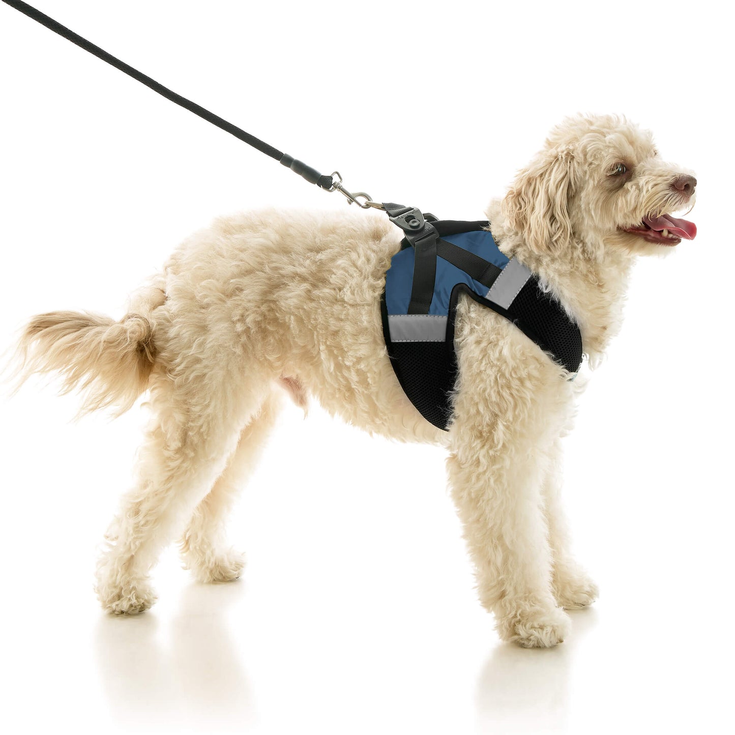 Soft Mesh X Step In Harness