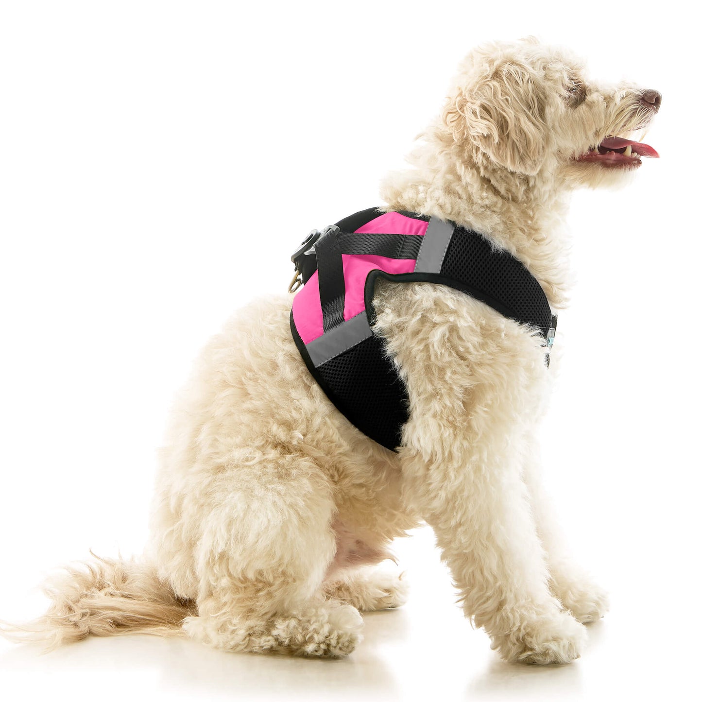 Soft Mesh X Step In Harness