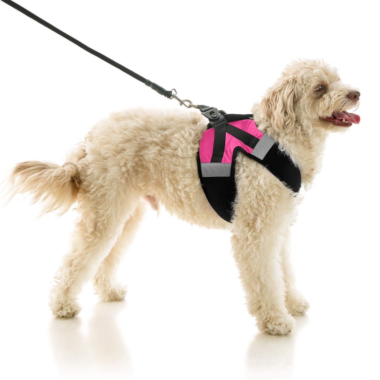 Soft Mesh X Step In Harness