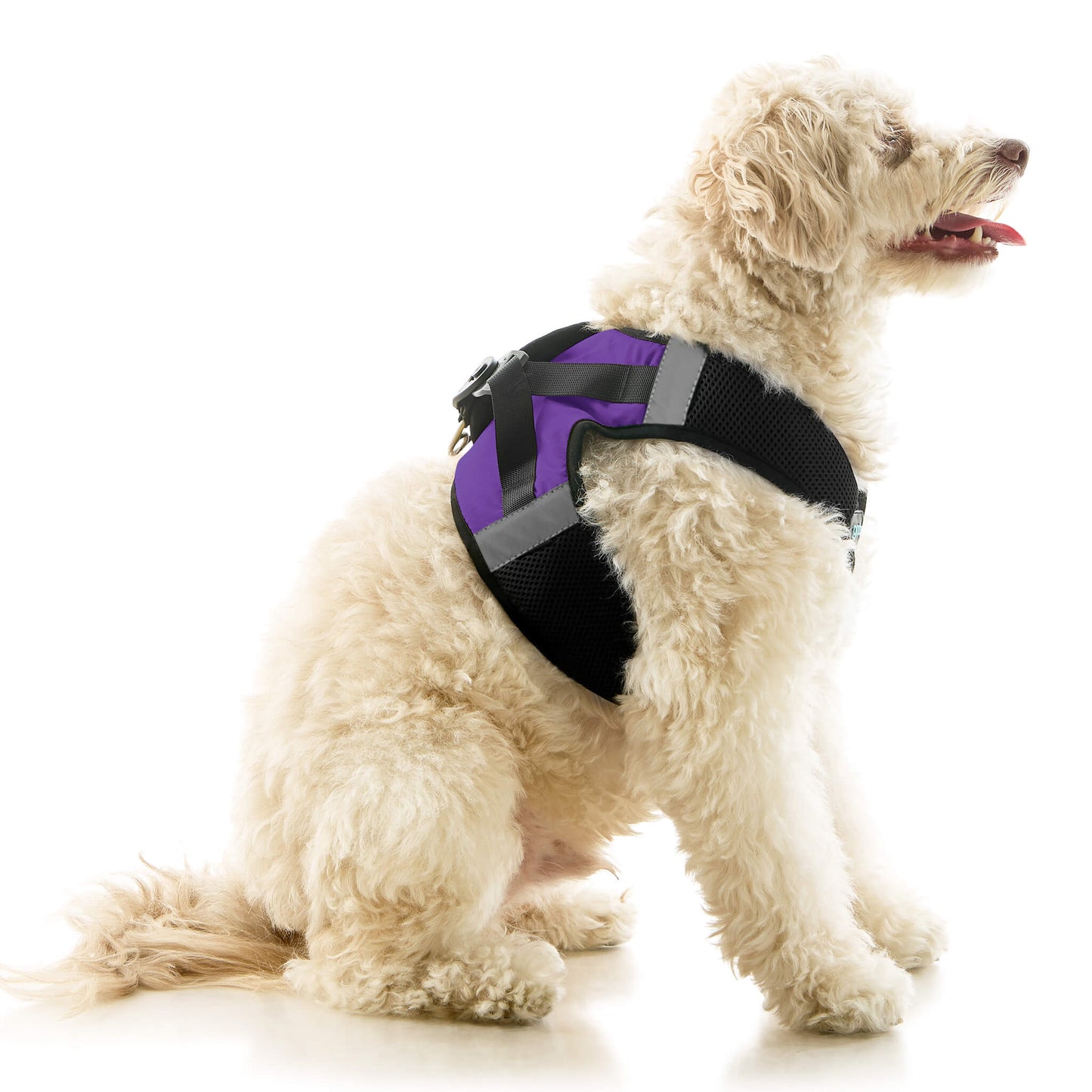 Soft Mesh X Step In Harness