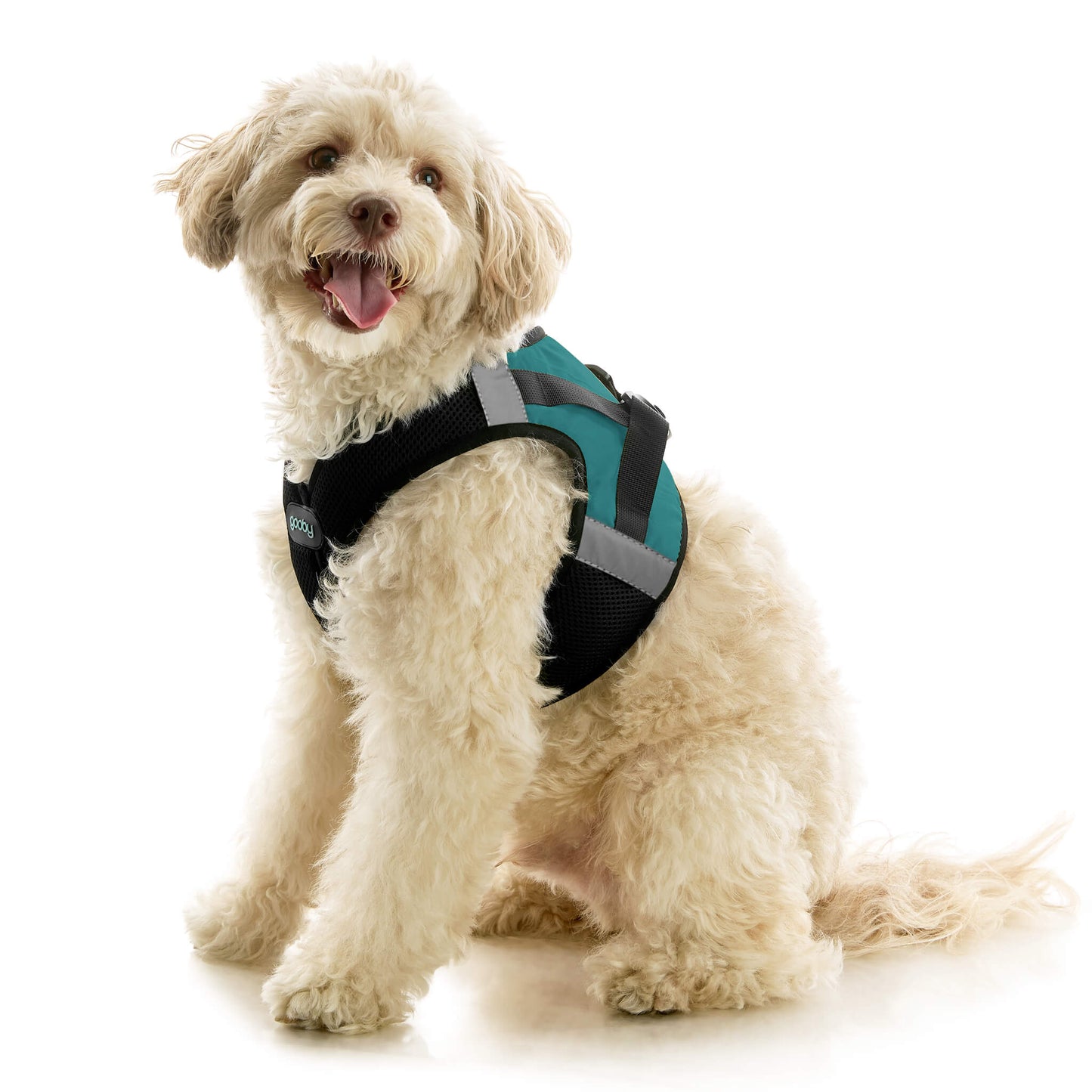 Soft Mesh X Step In Harness