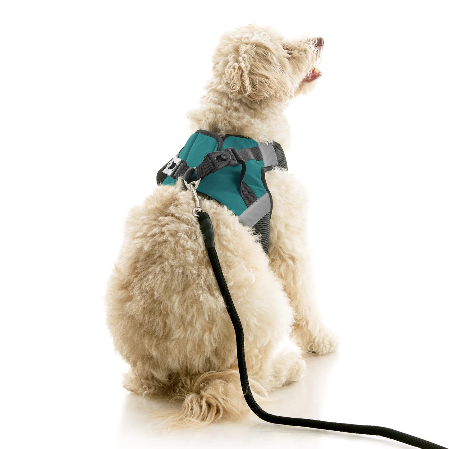 Soft Mesh X Step In Harness