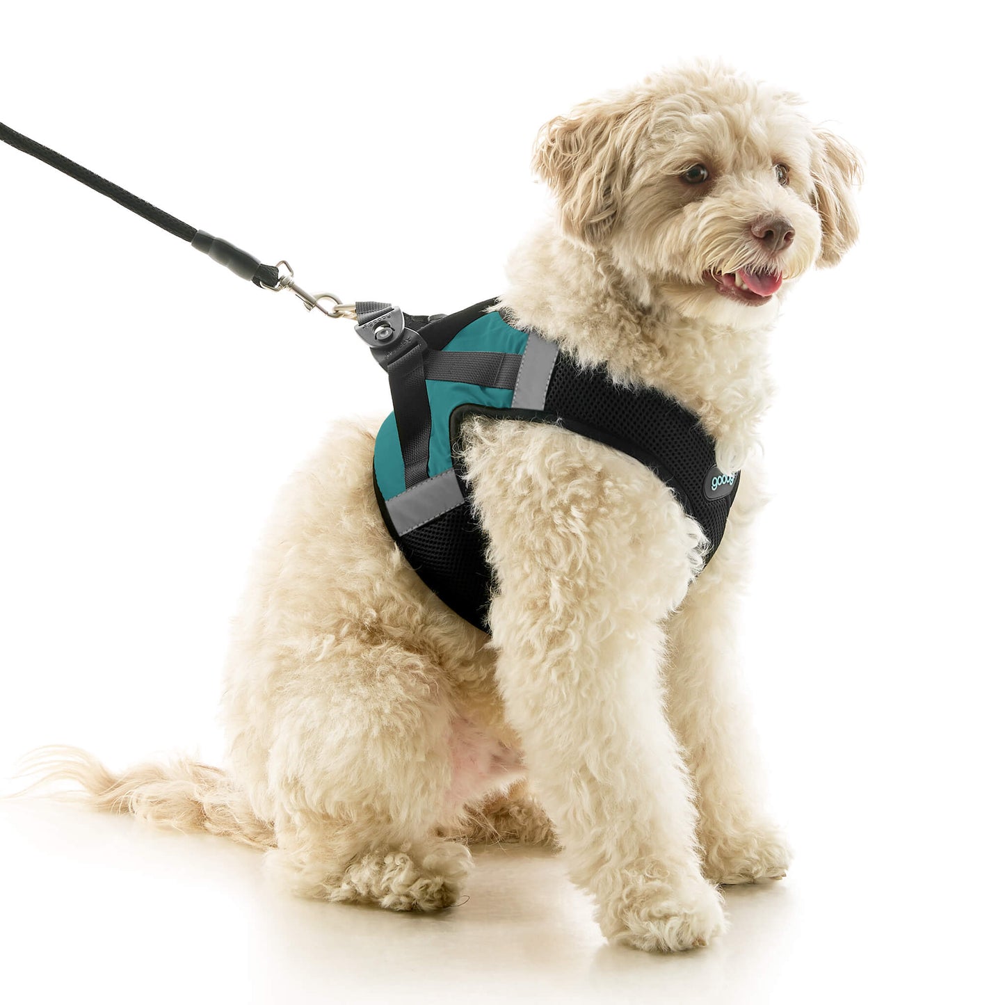 Soft Mesh X Step In Harness