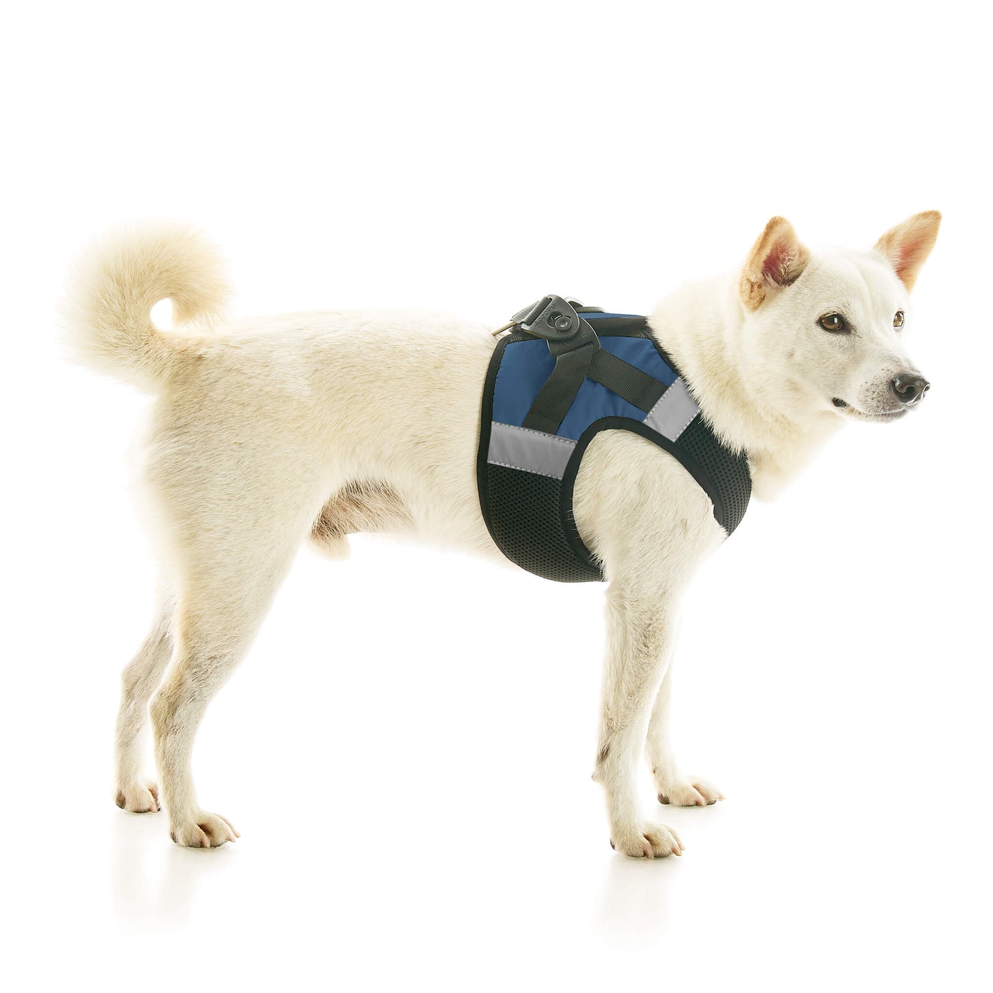 Soft Mesh X Step In Harness