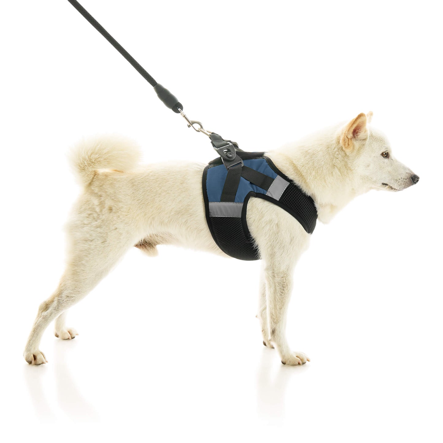 Soft Mesh X Step In Harness