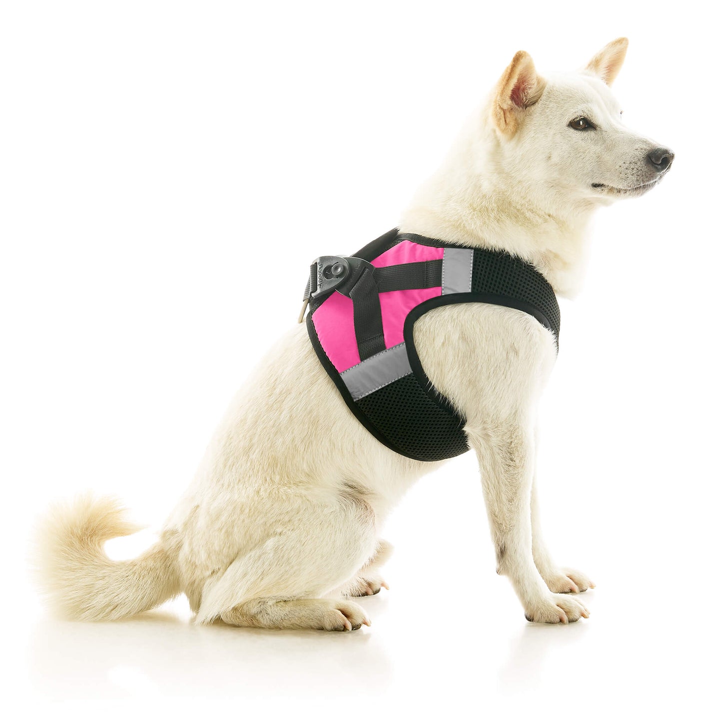 Soft Mesh X Step In Harness