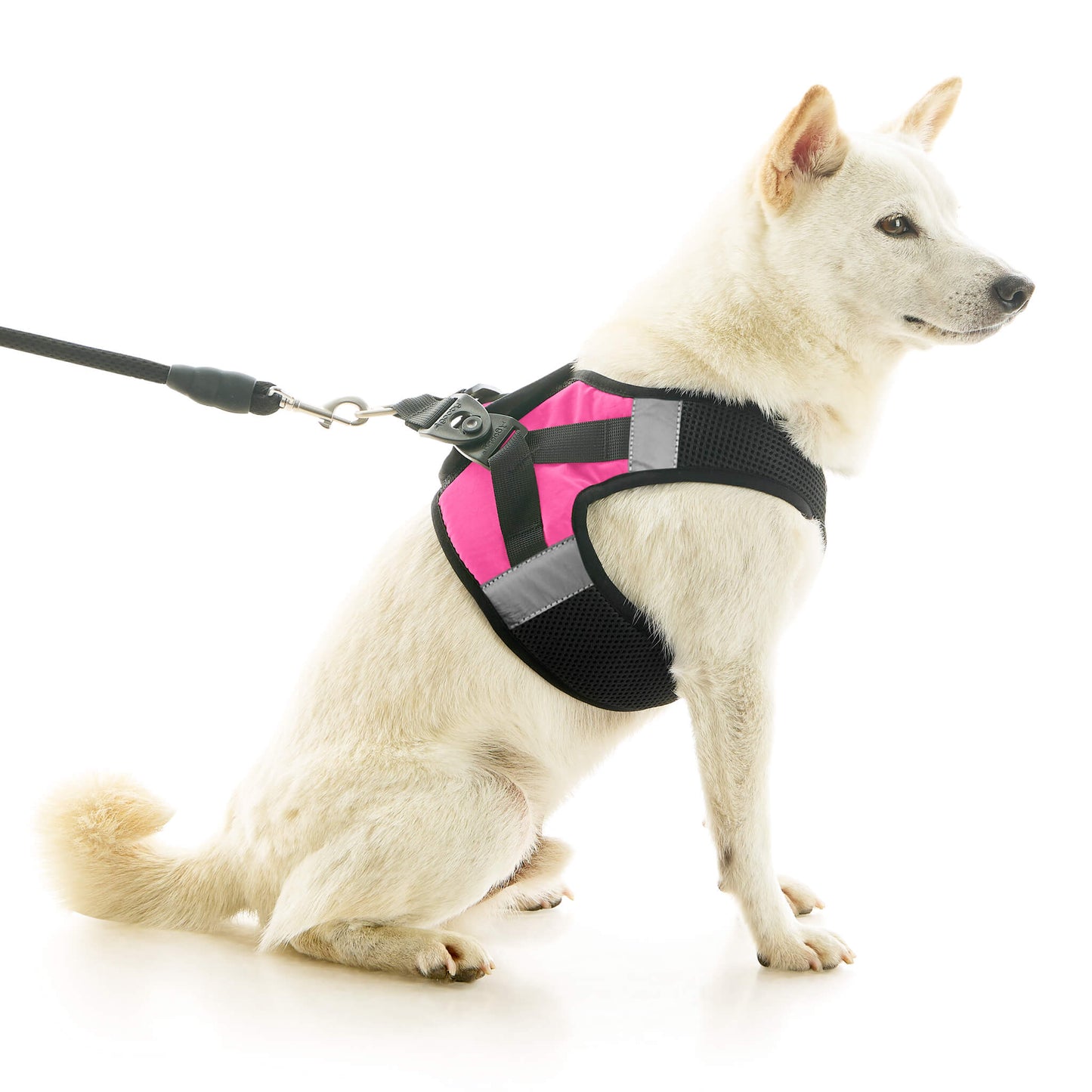 Soft Mesh X Step In Harness