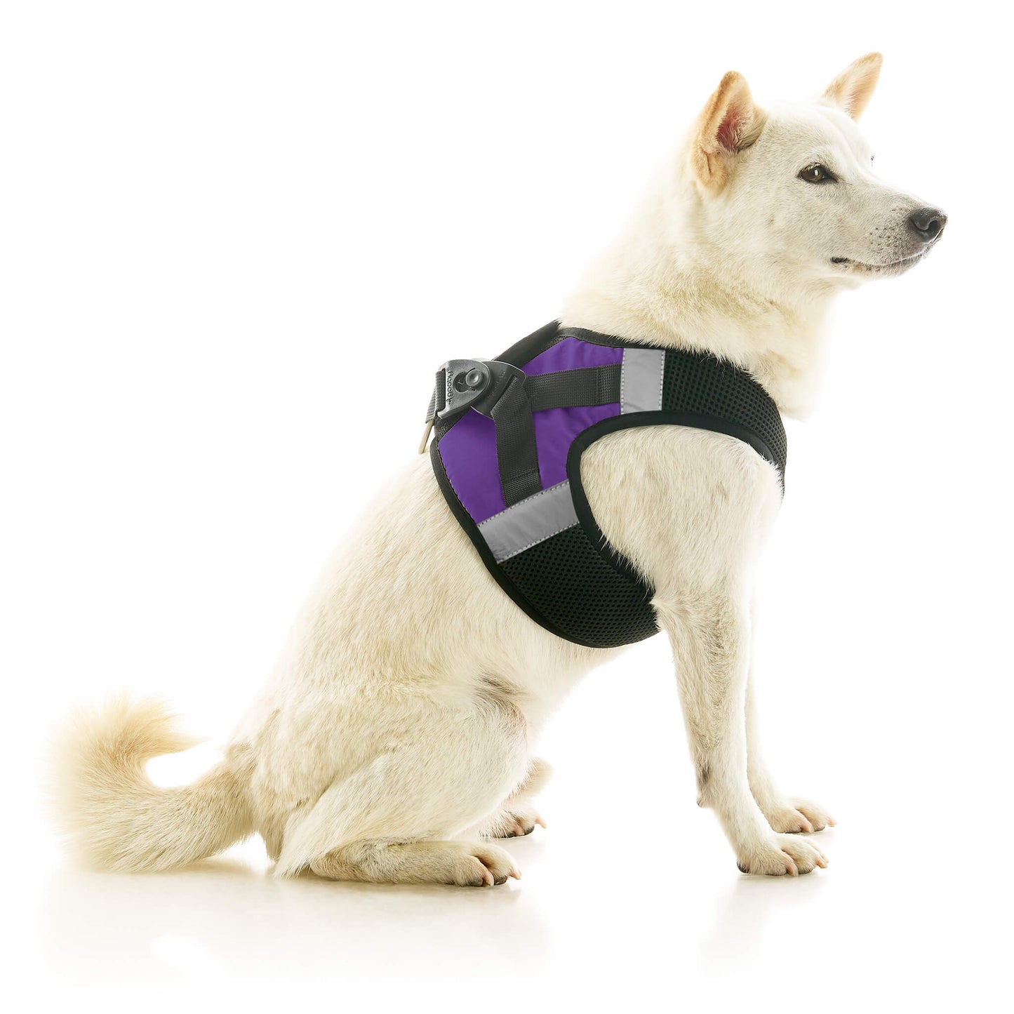 Soft Mesh X Step In Harness