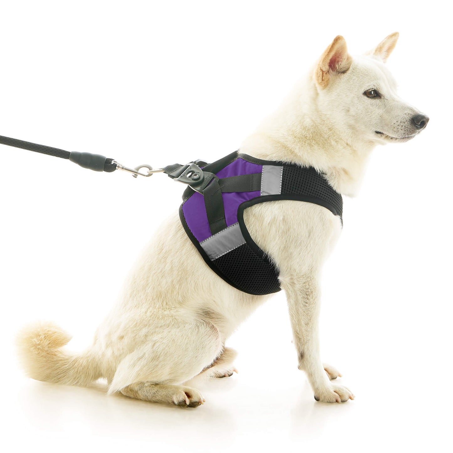 Soft Mesh X Step In Harness