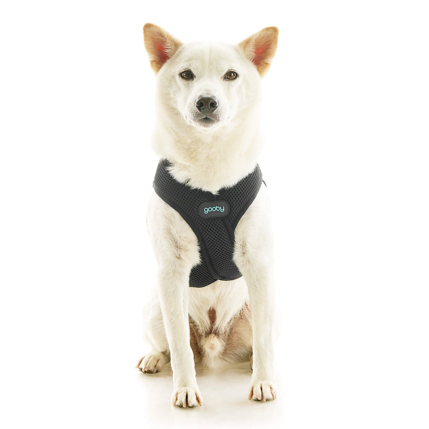 Soft Mesh X Step In Harness