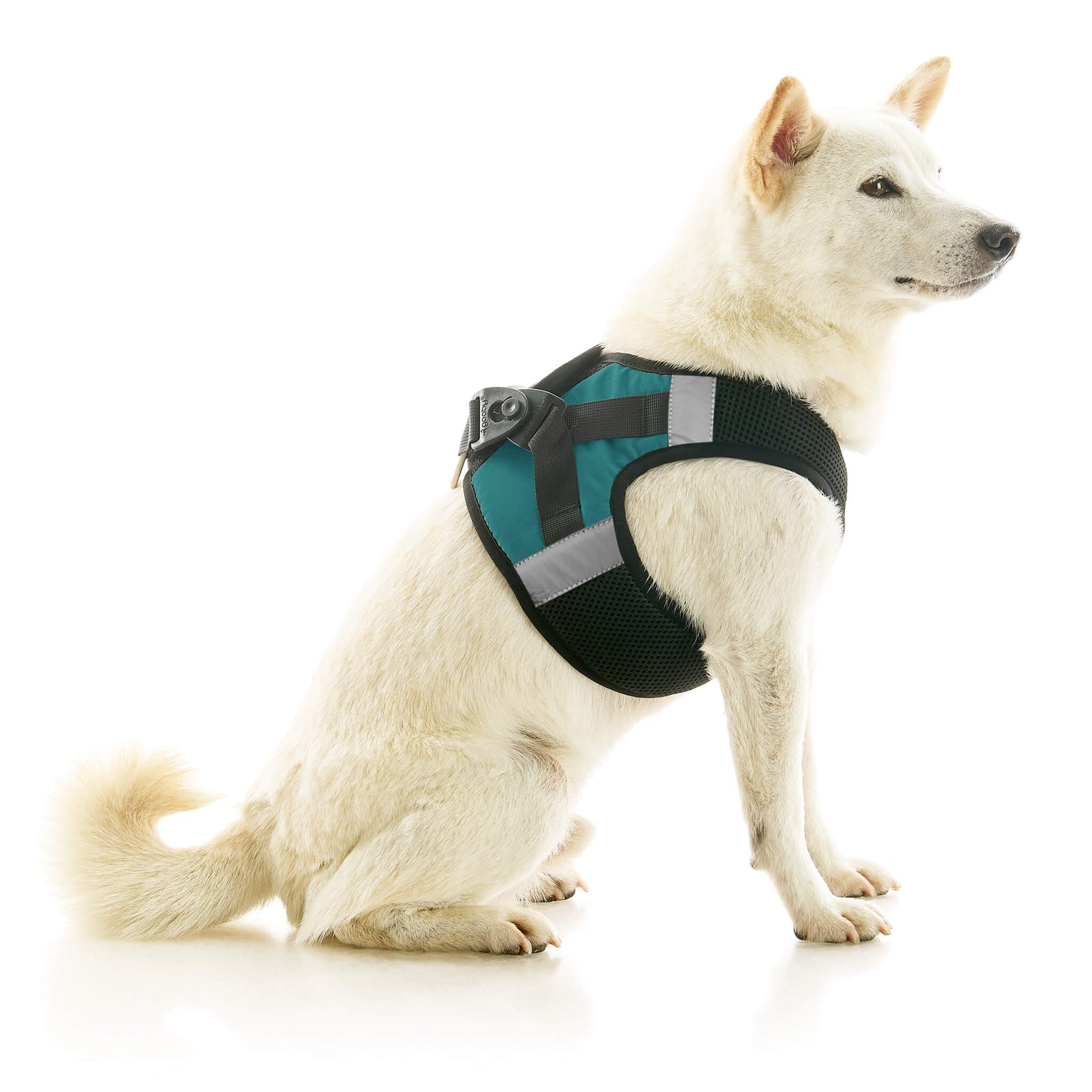 Soft Mesh X Step In Harness