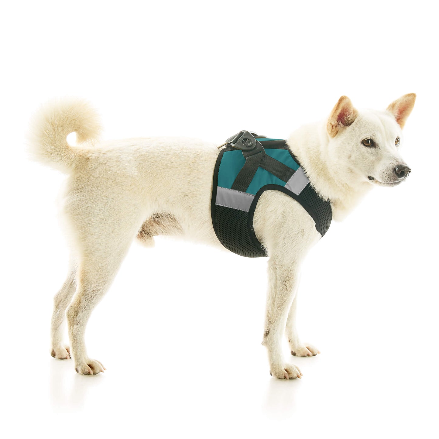 Soft Mesh X Step In Harness