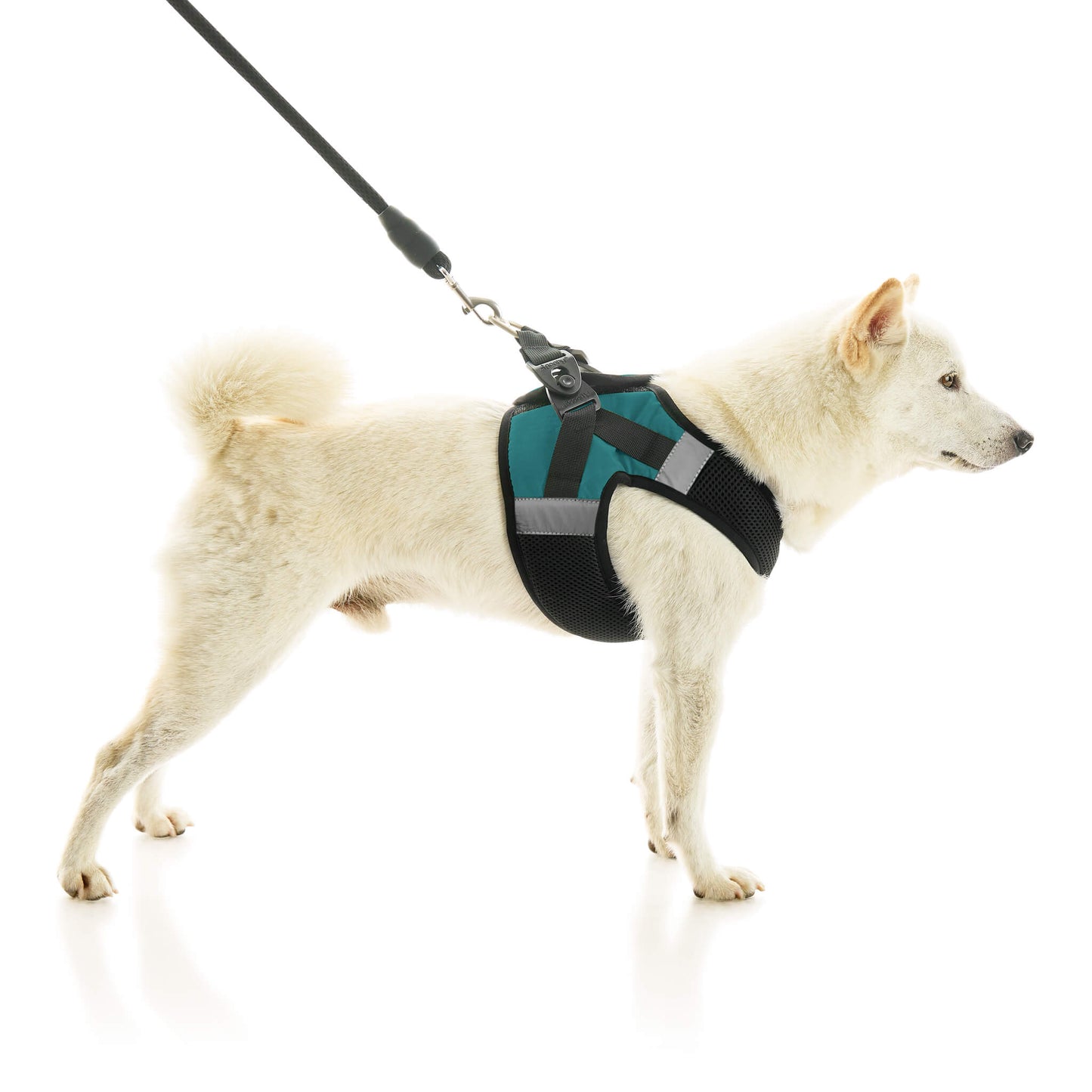 Soft Mesh X Step In Harness