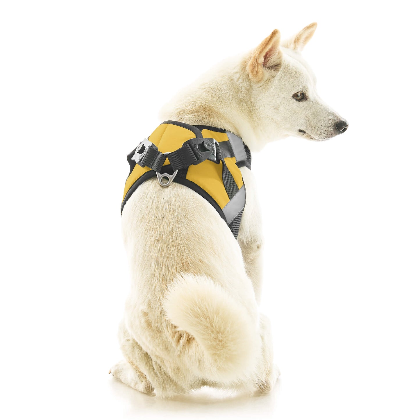 Soft Mesh X Step In Harness