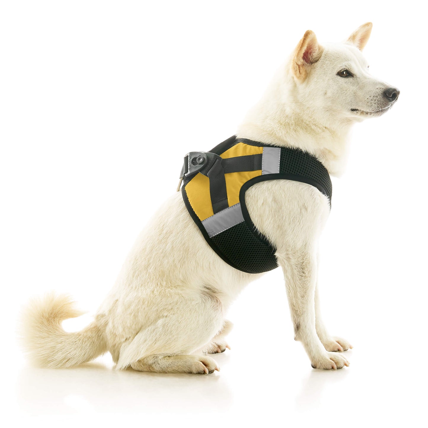 Soft Mesh X Step In Harness