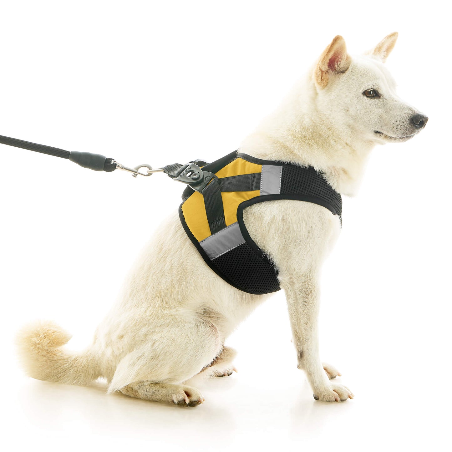 Soft Mesh X Step In Harness