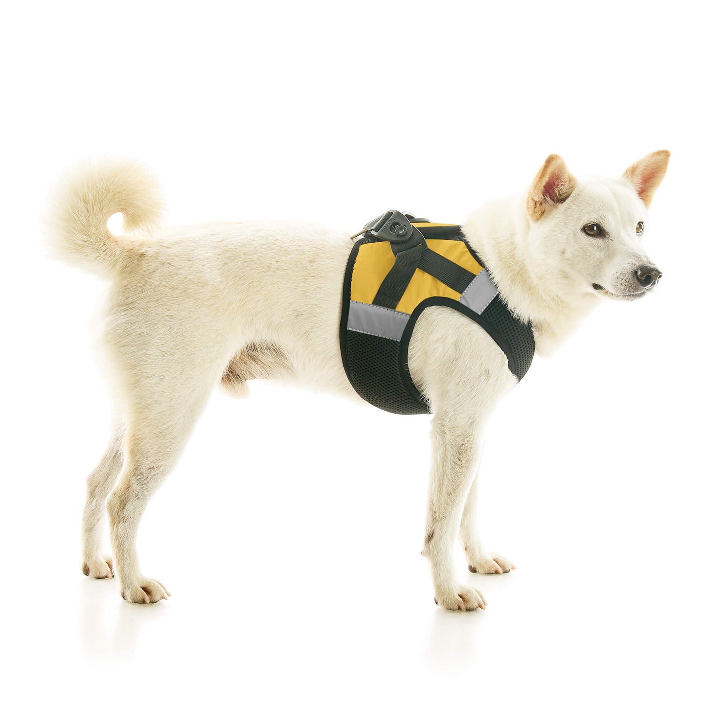 Soft Mesh X Step In Harness