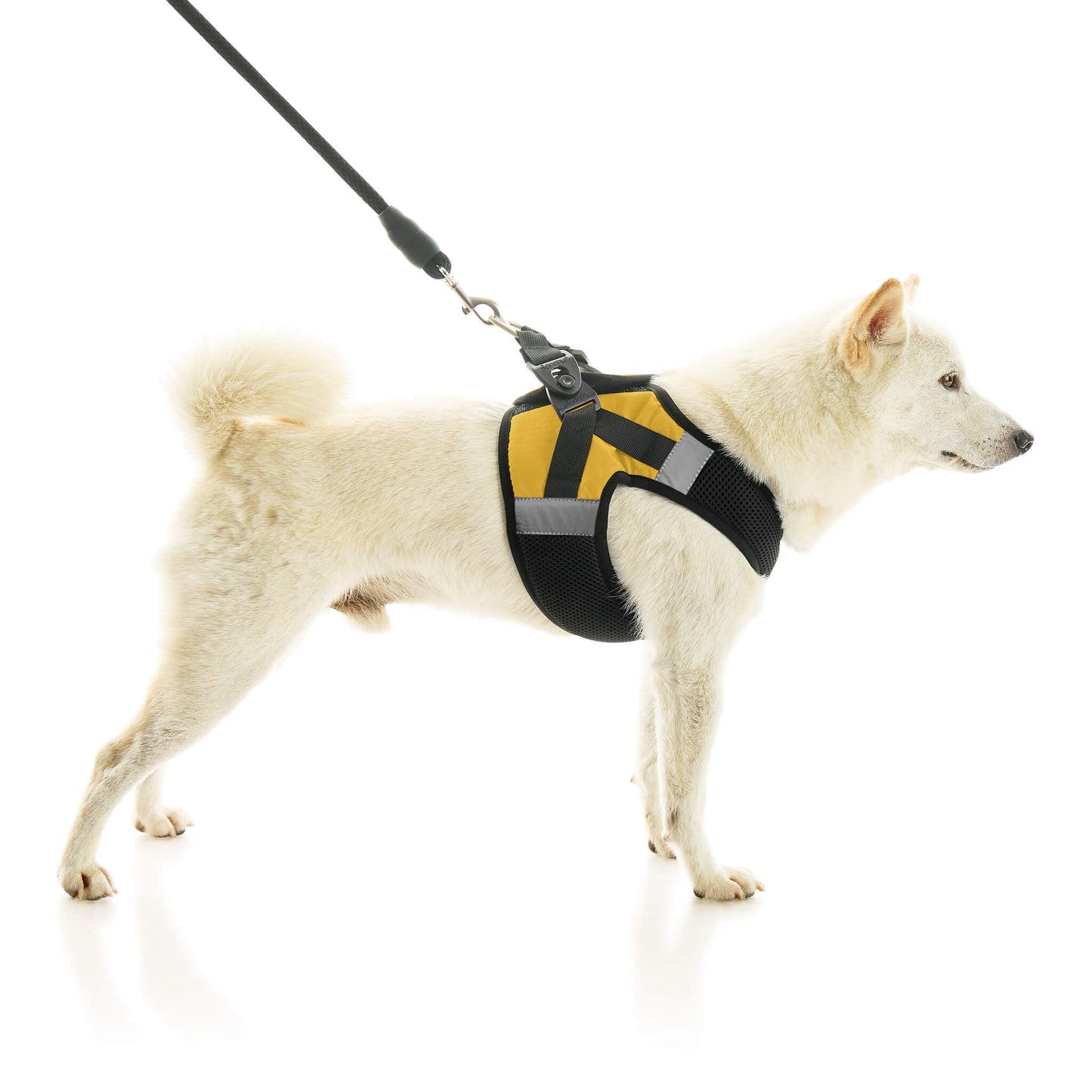 Soft Mesh X Step In Harness