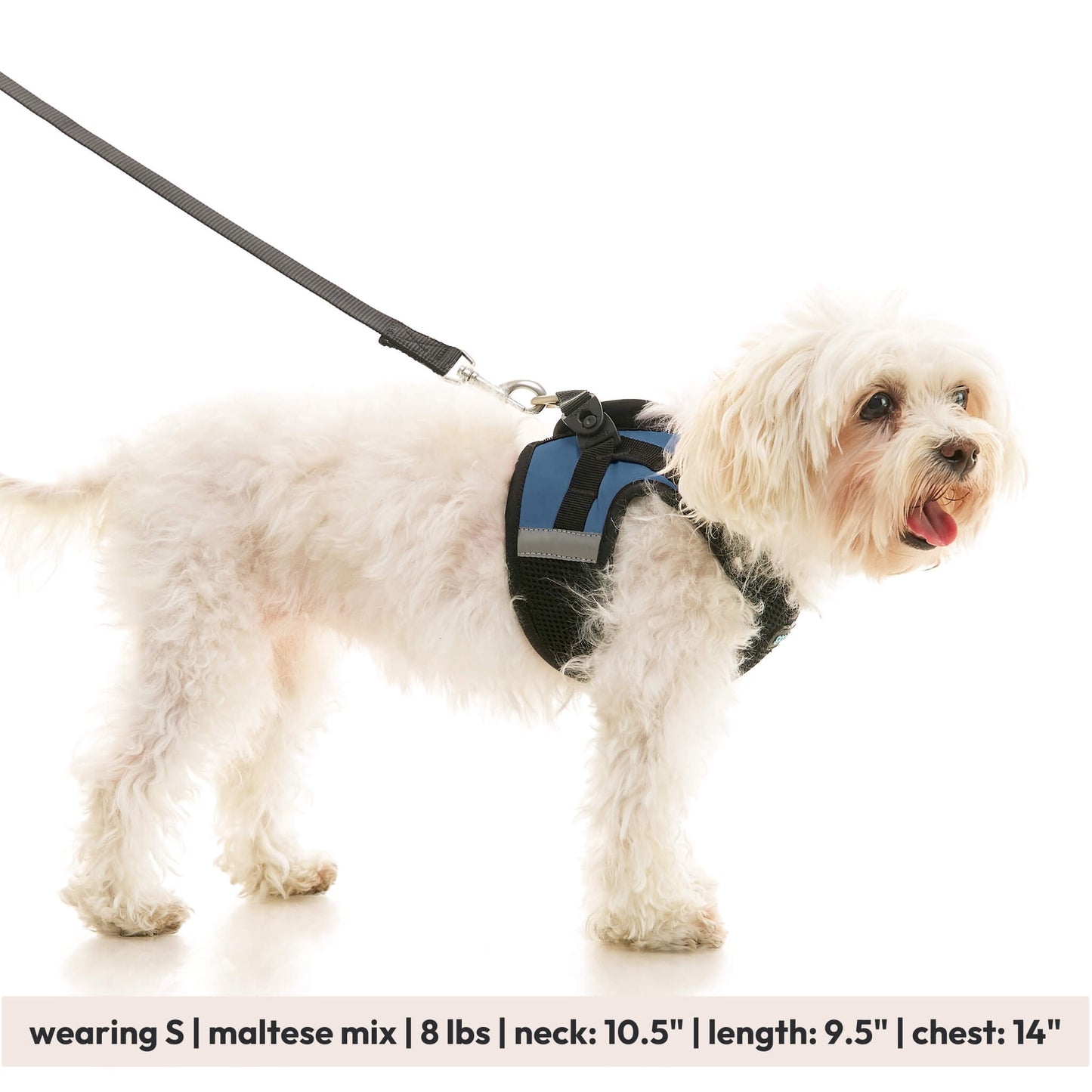 Soft Mesh X Step In Harness