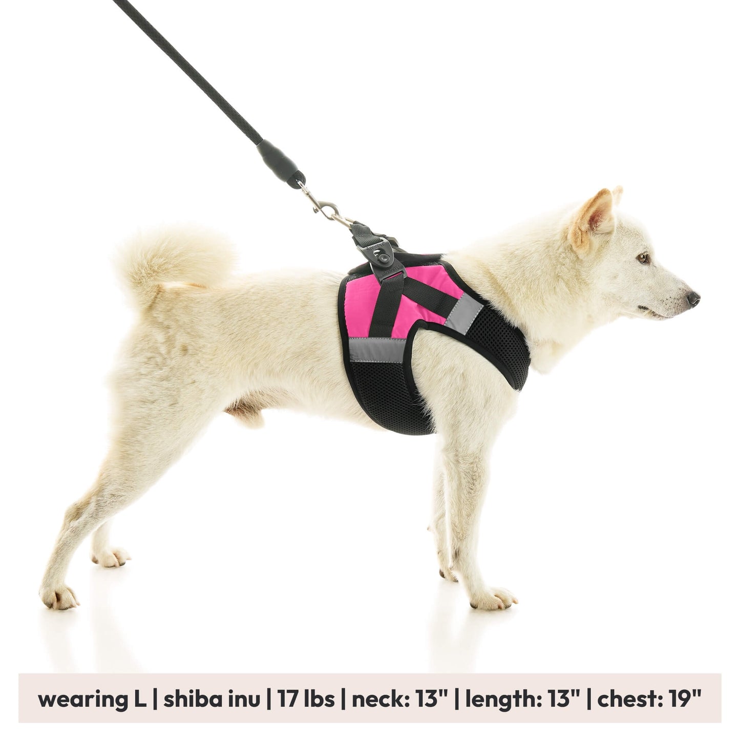 Soft Mesh X Step In Harness