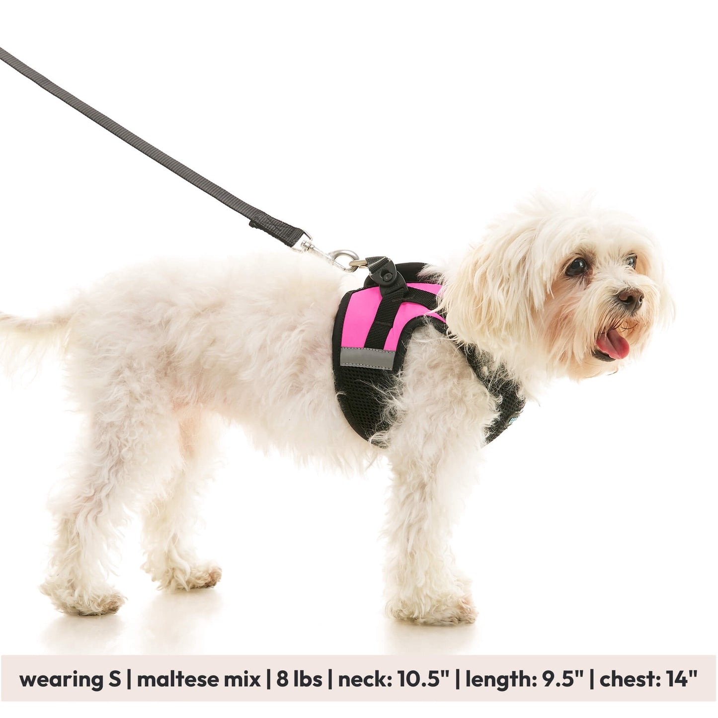 Soft Mesh X Step In Harness