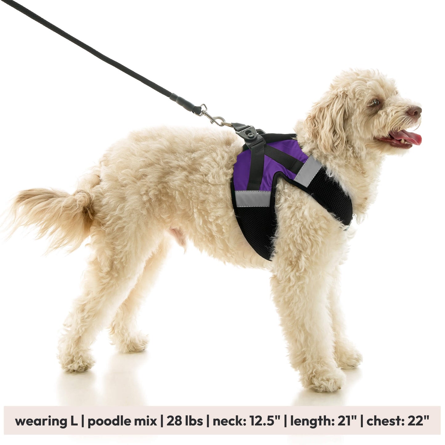 Soft Mesh X Step In Harness