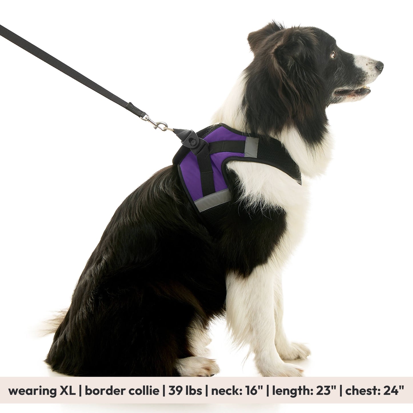 Soft Mesh X Step In Harness