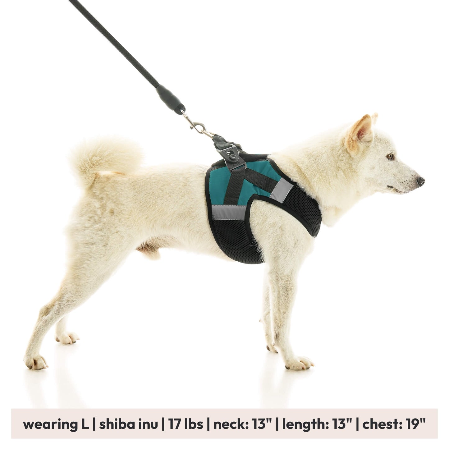 Soft Mesh X Step In Harness