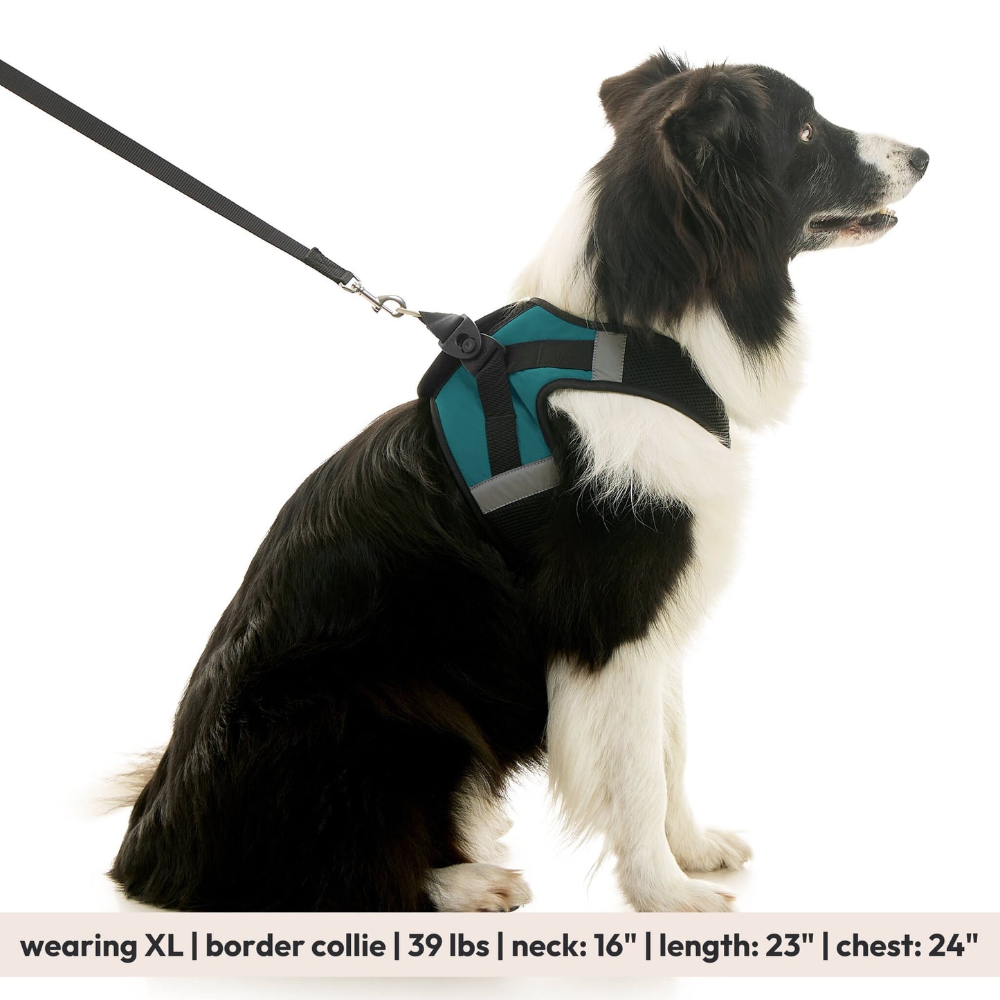 Soft Mesh X Step In Harness