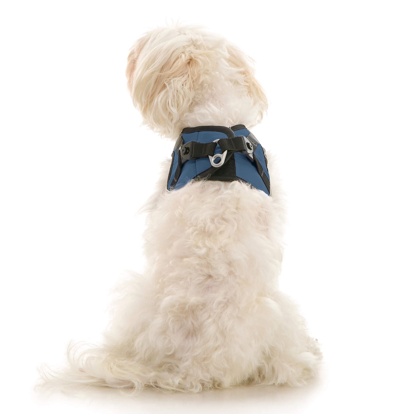 Soft Mesh X Step In Harness