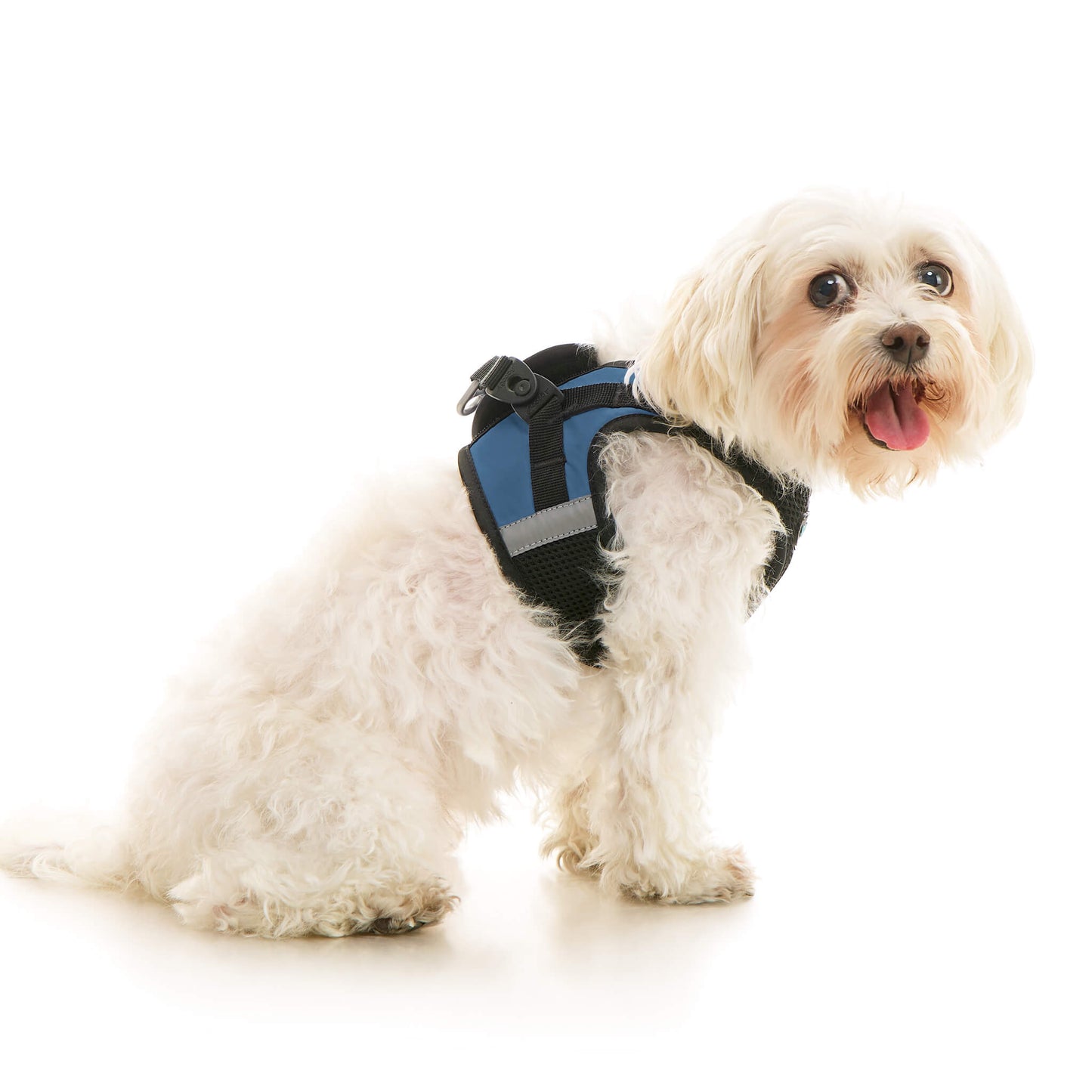 Soft Mesh X Step In Harness