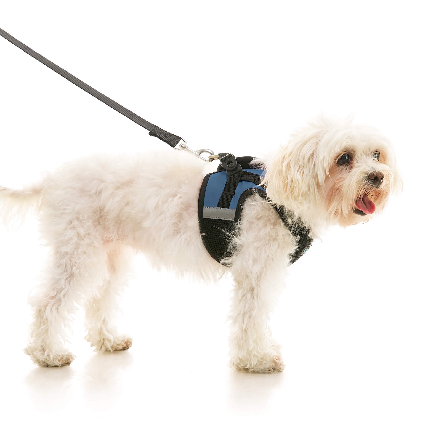 Soft Mesh X Step In Harness